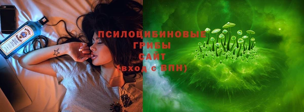 spice Белокуриха