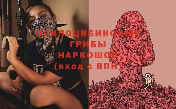 spice Белокуриха