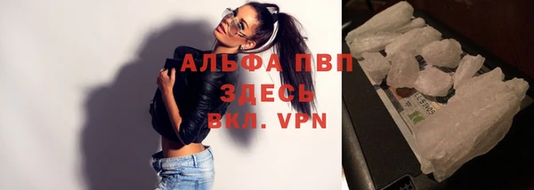 spice Белокуриха