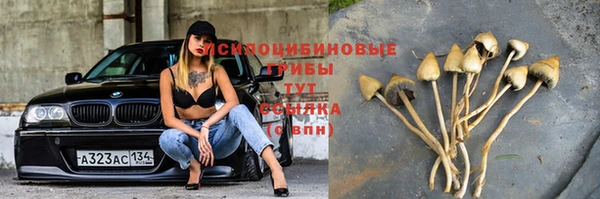 spice Белокуриха